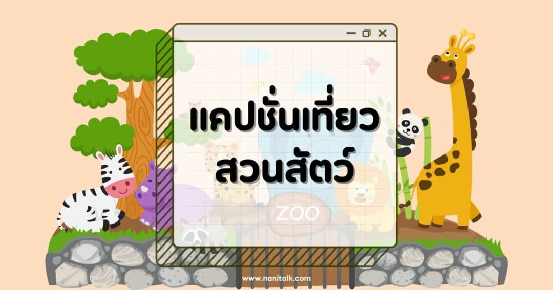 60 แคปชั่นเที่ยวสวนสัตว์ โพสต์รูปเที่ยวสวนสัตว์ปังทุกช็อต!