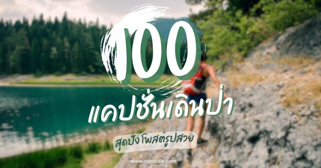 100 แคปชั่นเดินป่าเด็ด ๆ ที่จะทำให้อยากออกไปเจอธรรมชาติ