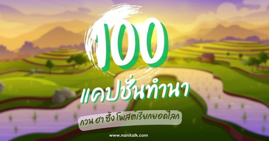 100 แคปชั่นทำนา กวน ฮา ซึ้ง โพสต์เรียกยอดไลก์!