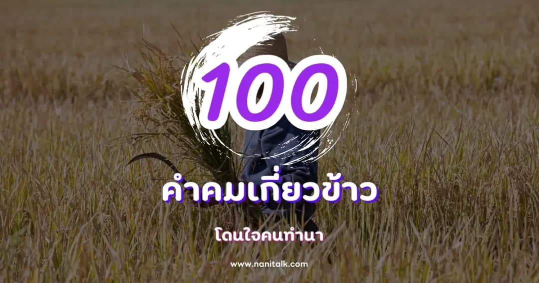 100 คำคมเกี่ยวข้าว โดนใจคนทำนา เติมเต็มชีวิตเกษตรกร